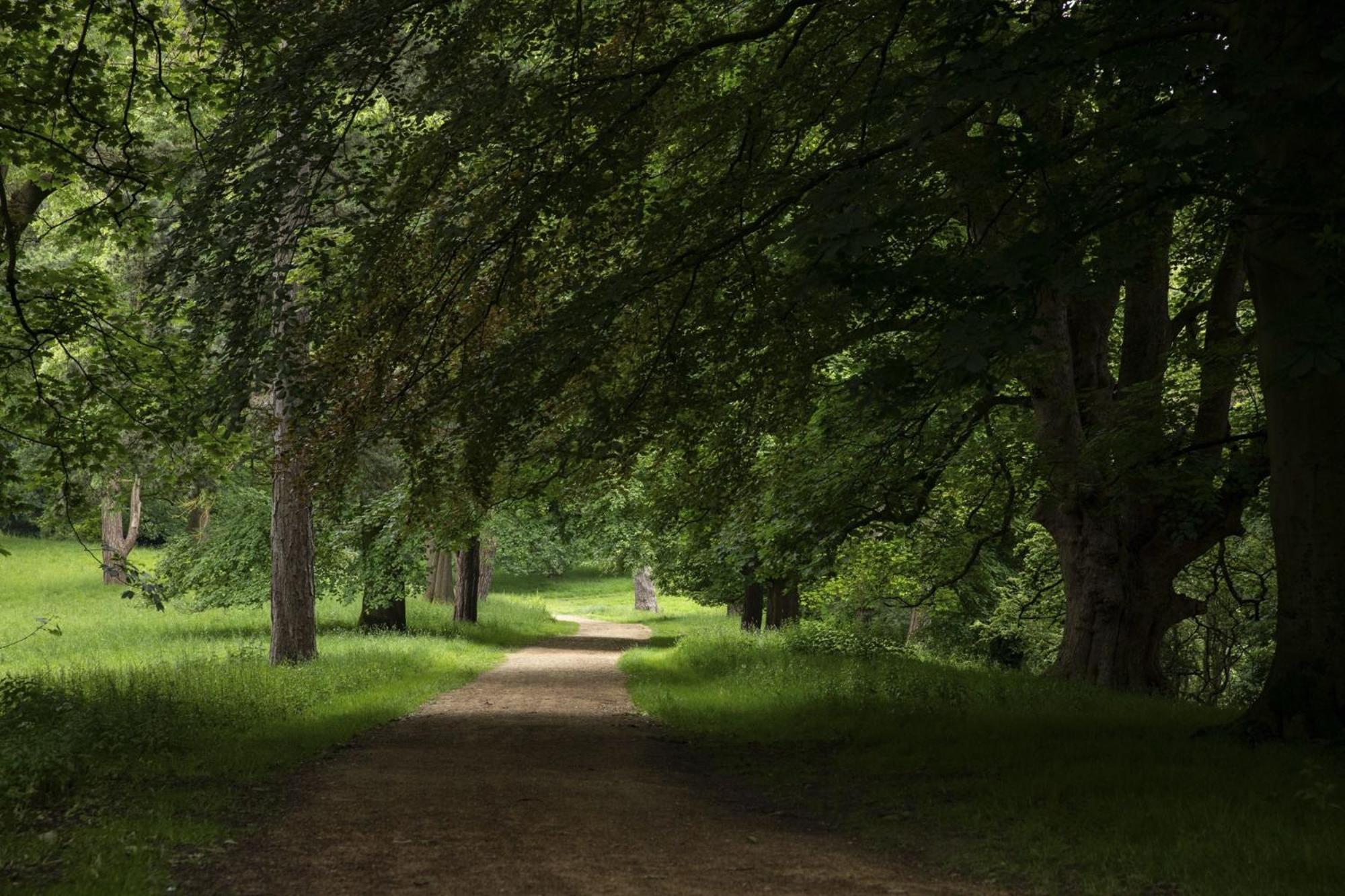 Churchill Cottage บิชอปโอ๊คแลนด์ ภายนอก รูปภาพ